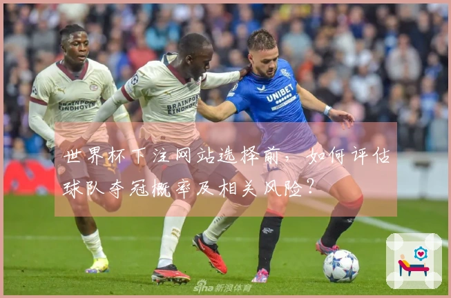 世界杯下注网站选择前，如何评估球队夺冠概率及相关风险？