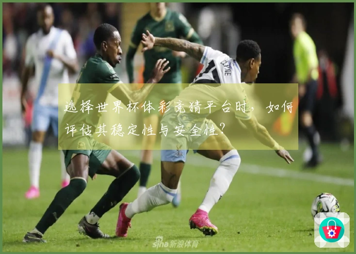 选择世界杯体彩竞猜平台时，如何评估其稳定性与安全性？