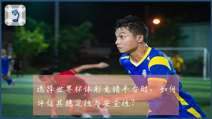 选择世界杯体彩竞猜平台时，如何评估其稳定性与安全性？