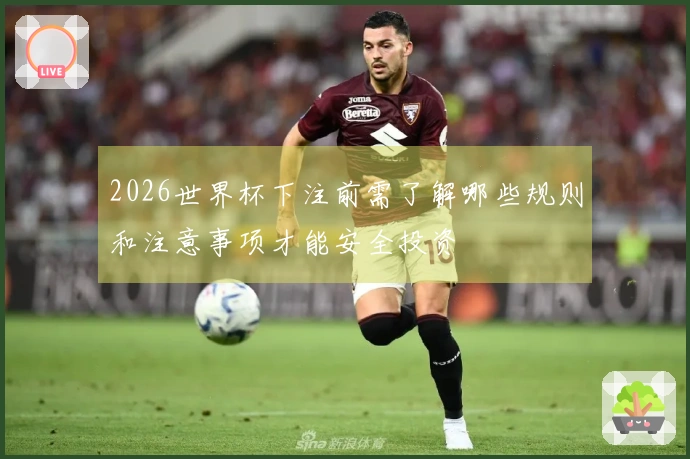 2026世界杯下注前需了解哪些规则和注意事项才能安全投资