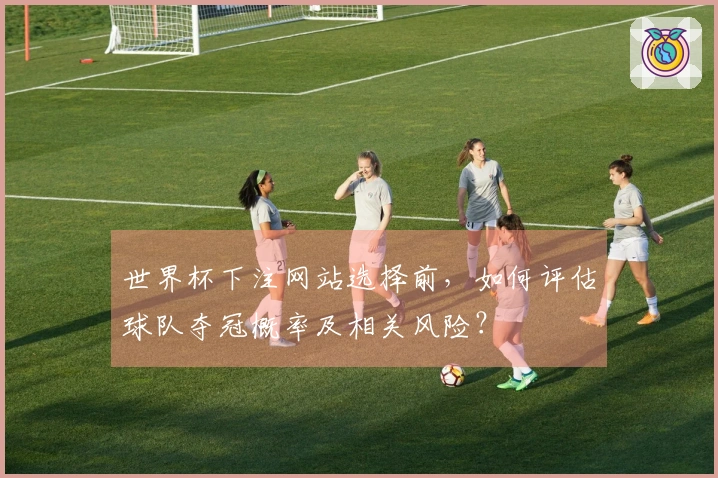 世界杯下注网站选择前，如何评估球队夺冠概率及相关风险？